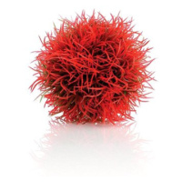 biOrb Aquatic colour ball červená