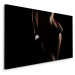 MyBestHome BOX Plátno Night Woman Varianta: 120x80