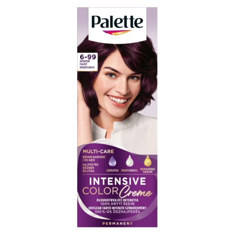 PALETTE ICC INTENZIVNÍ FIALOVÝ 6-99 V5