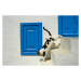 Fotografie Jumping Domestic Cat, Mykonos, Greek Islands,, asiafoto, 40 × 26.7 cm