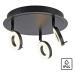 PAUL NEUHAUS LED stropní bodové svítidlo antracit, kruhové, 3 ramenné, otočné, ochrana proti vod