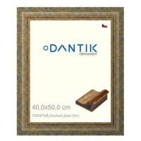 DANTIK rámeček 40 × 50, ZVRATNÝ bílozlatý plast plexi čiré