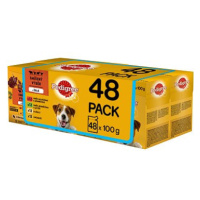 Pedigree kapsičky masový výběr v želé pro dospělé psy 48 x 100 g