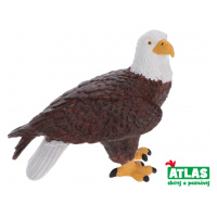 Atlas B Orel 7 cm