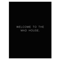 Ilustrace Welcome to the madhouse, Finlay & Noa, 30x40 cm