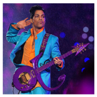 Fotografie Prince at Super Bowl XLI, Theo Wargo, 40 × 40 cm