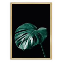 Dekoria Plakát Dark Monstera, 70 x 100 cm, Volba rámku: Zlatý