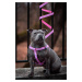 Vsepropejska Furio růžový postroj pro psa Typ: Postroj, Velikost: Obvod hrudníku 42 - 60 cm