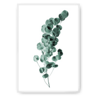Dekoria Plakát Eucalyptus Emerald Green, 40 x 50 cm, Ramka: Biała