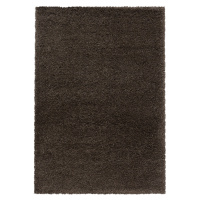 Ayyildiz koberce Kusový koberec Fluffy Shaggy 3500 brown - 60x110 cm