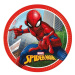 Spiderman Crime Fighter - Talířky papírové  23 cm 8ks