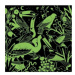 Mudpuppy Puzzle Ptáci - svítí ve tmě 500 dílků