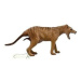 Collecta thylacine tygr tasmánský samice