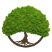 Mechový obraz s kulatým rámem strom života 40cm