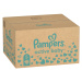 Pampers Active Baby 5 JUNIOR 11-16 kg 150 ks