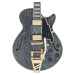 D'Angelico Excel SS Black Dog