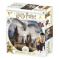 Puzzle 3D Harry Potter - Bradavice a Hedvika / 500 dílků - Kolektiv