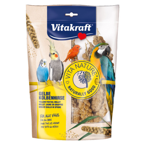 Vitakraft Vita Nature žlutý prosný klas 300 g