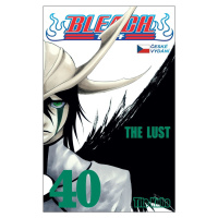 Bleach 40