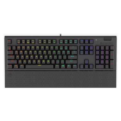 Endorfy herní klávesnice Omnis Kaihl BL RGB / USB / blue switch / drátová /mechanická/US layout/ SilentiumPC