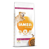 IAMS Dog Senior Large Chicken 12 kg