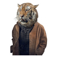 Nažehlovací nálepka tygr - 21 x 30 cm Aladine