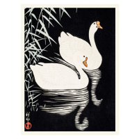 Obrazová reprodukce White Chinese Geese (Japandi Vintage) - Ohara Koson, 30 × 40 cm