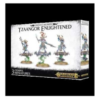 Warhammer AoS - Tzaangor Enlightened