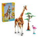 LEGO® Creator 3 v 1 31150 Divoká zvířata ze safari