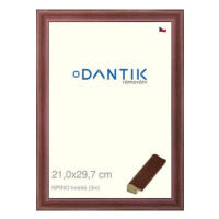 DANTIK rámeček 21 × 29,7, NPINO hnědý sklo čiré