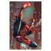 Plakát, Obraz - Spider-Man, (61 x 91.5 cm)