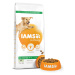 IAMS Dog Adult Large Lamb 12kg