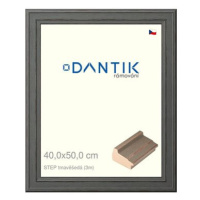 DANTIK rámeček 40 × 50, STEP tmavěšedý plexi čiré