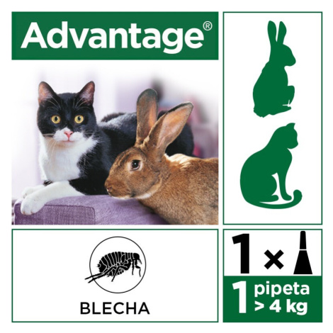 Advantage 80mg velké kočky a králíci spot-on 4x0.8ml