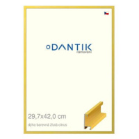 DANTIK rámeček 29,7 × 42, ALU profil 6035 Dýha barevný žlutý citrus plexi čiré