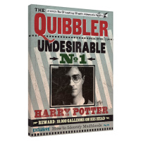 Obraz na plátně Harry Potter - Quibbler, 2 - 60×80 cm