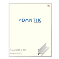 DANTIK rámeček 40 × 50, ALU profil 6030 Dýha bílý sklo čiré