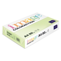 Coloraction A4 80 g 500 ks - Jungle/pastelově sv.zelená