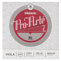 D'Addario Pro-Arte vla 4/4 M