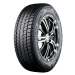 Bridgestone Blizzak DM V3 ( P245/55 R19 103T EVc, Nordic compound )