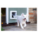 Dvířka SureFlap s mikročipem pro psy - Bílá