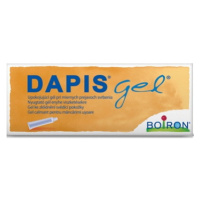 Dapis gel 40g