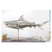 Dekorační socha žralok AMEIS 100 cm Dekorhome Zlatá
