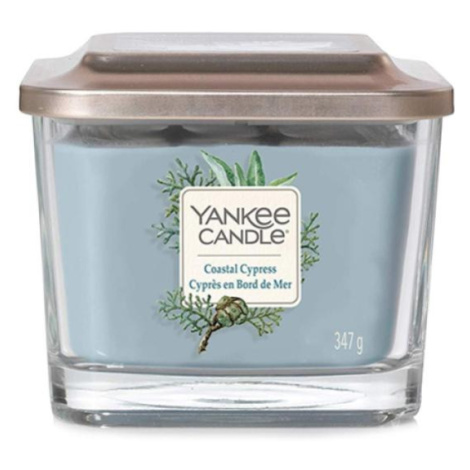 Yankee Candle, Pobřežní cypřiš, Svíčka ve skleněné váze, 347 g