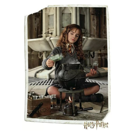 Plakát Harry Potter - Hermione Granger (62) Europosters