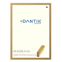 DANTIK rámeček 42 × 59,4, KASSETTE přírodní lakovaný plexi čiré