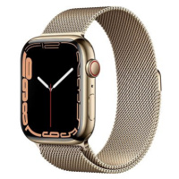 Apple Watch Series 7 45mm Cellular Zlatý nerez se zlatým milánským tahem