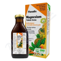 Salus Floradix Magnesium 250ml