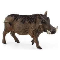 Schleich 14843 Zvířátko prase bradavičnaté