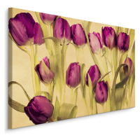 Plátno Tulipány V Retro Stylu Varianta: 100x70